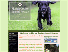Tablet Screenshot of floridacocker.org